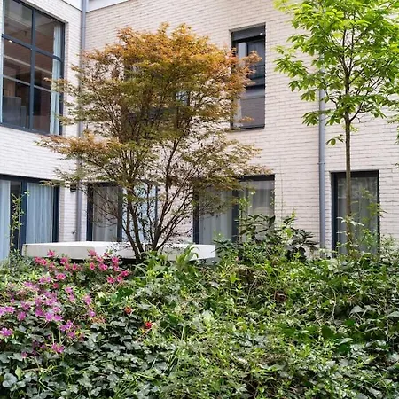 Ravissant 2 Pieces Moderne Avec Terrasse - 350c 루얼말메이슨